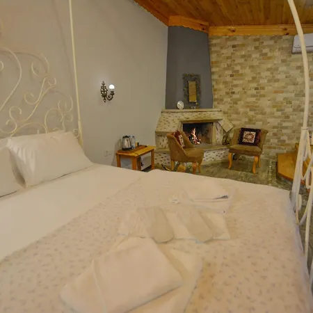 Deniz Yildizi Agva (Marmara)