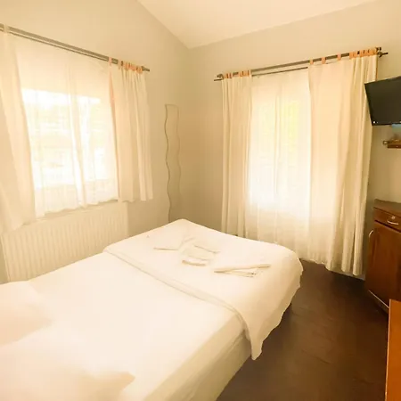 Deniz Yildizi Agva (Marmara)