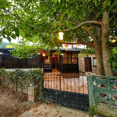 Deniz Yildizi Ξενοδοχείο Agva (Marmara)