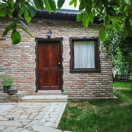 Deniz Yildizi * Agva (Marmara)