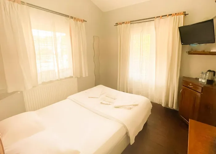 Deniz Yildizi אגווה